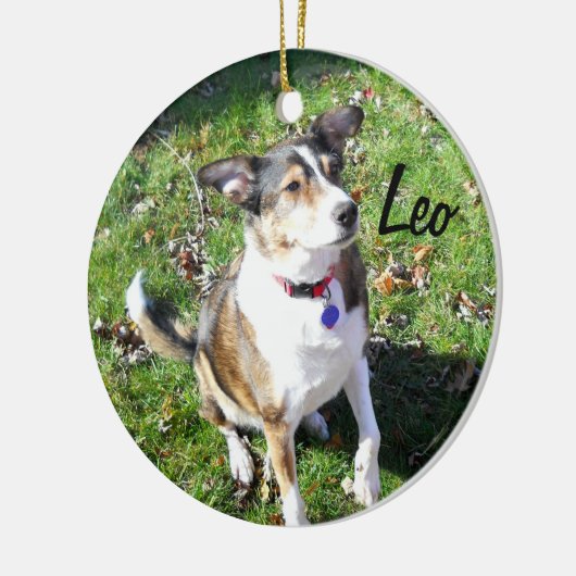 Custom Dog Ornament (Links)