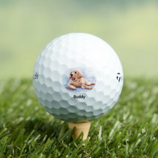 Custom Dog Pet Photo Name Golfballen (Insitu Shirt)