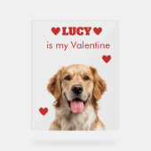 Custom Dog Photo Acrylic Sign Acryl Bord (Voorkant)