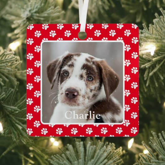 Custom Dog Photo Pet Name Paw Prints Metalen Ornament (Insitu)