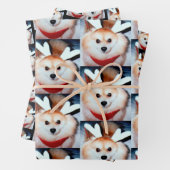 Custom Dog Photo Pomeranian Inpakpapier Vel (In situ)