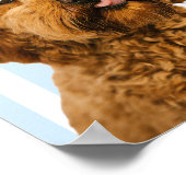 Custom Dog Portrait | Personalized Pet Photo Poster (Hoek)