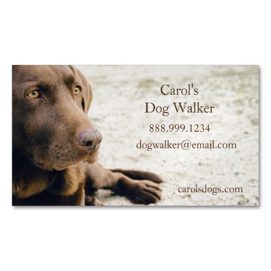 Custom Dog Walker, Pet Sitting Business Service Magnetisch Visitekaartje (Voorkant)