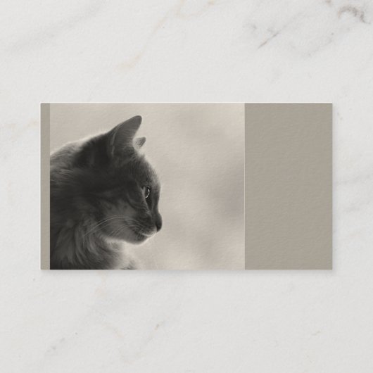 Custom Dog Walker, Pet Sitting Business Service Visitekaartje (Achterkant)