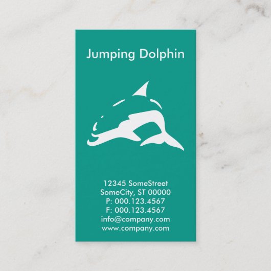 Custom Dolphin Company Visitekaartje (Voorkant)
