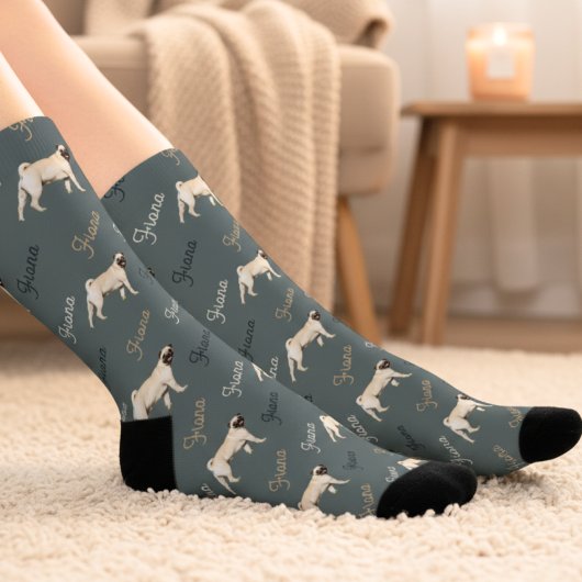 Custom Dusty Teal Dog Photo Socks Sokken