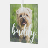 Custom Eenvoudig Elegant Pet Photo Glass Ornament (Voorkant links)