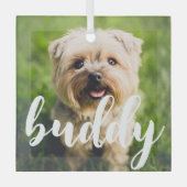 Custom Eenvoudig Elegant Pet Photo Glass Ornament (Voorkant)