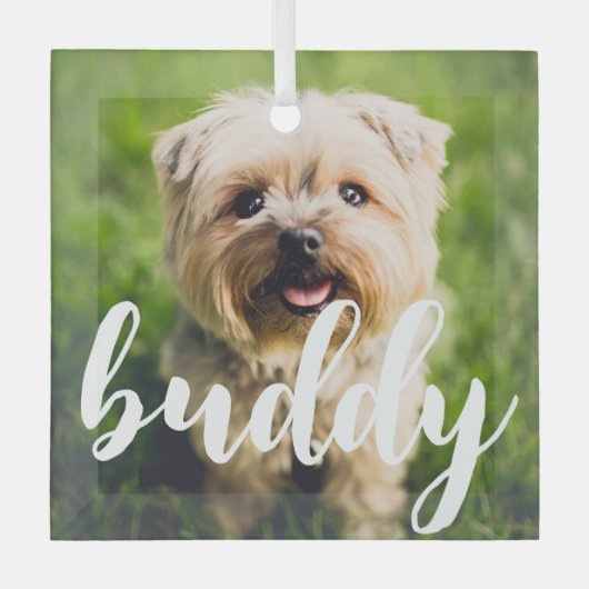 Custom Eenvoudig Elegant Pet Photo Glass Ornament (Voorkant)