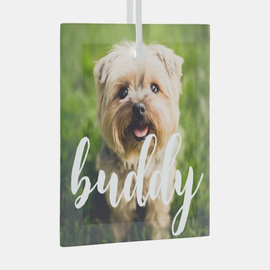 Custom Eenvoudig Elegant Pet Photo Glass Ornament (Voorkant Rechts)