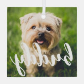 Custom Eenvoudig Elegant Pet Photo Glass Ornament (Achterkant)