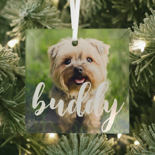Custom Eenvoudig Elegant Pet Photo Glass Ornament (Insitu)