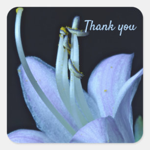 Custom Elegant Lavendel Blauw Bloem Dank u Vierkante Sticker