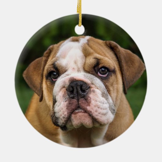Custom Engels Bulldog hond foto Keramisch Ornament (Achterkant)