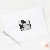 Custom. Faux zwart-wit Koeienhuid. Vierkante Sticker (Envelop)