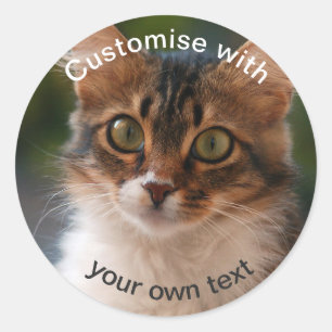 Custom Fluffy Kitten met Groene Ogen Ronde Sticker