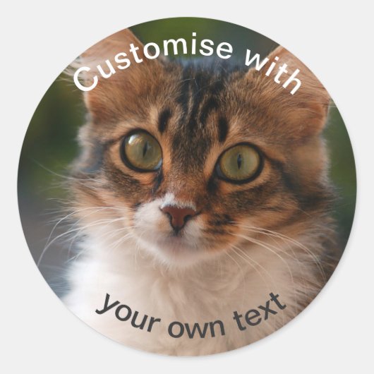 Custom Fluffy Kitten met Groene Ogen Ronde Sticker (Voorkant)