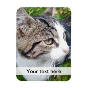 Custom Foto Magnet Upload your image here Magneet