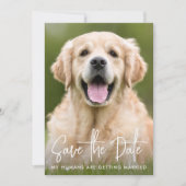 Custom Foto Modern Eenvoudig Elegant Pet Dog Bruil Save The Date (Voorkant)