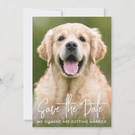 Custom Foto Modern Eenvoudig Elegant Pet Dog Bruil Save The Date (Voorkant)