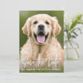 Custom Foto Modern Eenvoudig Elegant Pet Dog Bruil Save The Date (Staand voorkant)