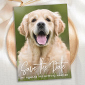 Custom Foto Modern Eenvoudig Elegant Pet Dog Bruil Save The Date