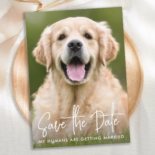 Custom Foto Modern Eenvoudig Elegant Pet Dog Bruil Save The Date