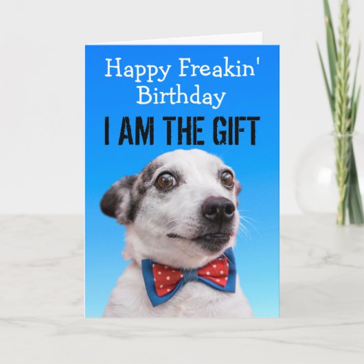 Custom Funny Dog Birthday Kaart (Voorkant)