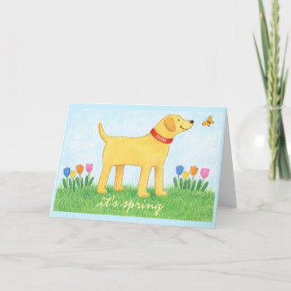 Custom Funny Yellow Dog Spring Greeting Card Kaart