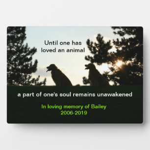 Custom Golden Retriever Dog Memorial Keepslag Fotoplaat