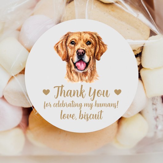 Custom Golden Retriever Dog Wedding Favor Stickers