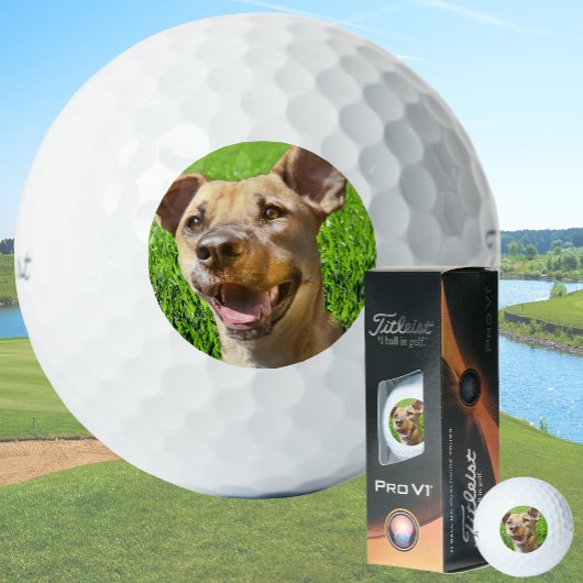 Custom Golf Balls With Dog Picture Create Your Own Golfballen
