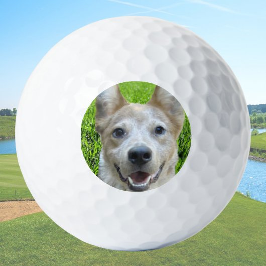 Custom Golf Balls With Dog Picture Create Your Own Golfballen
