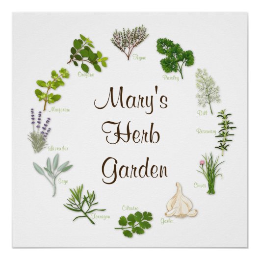 Custom Herb Garden Poster (Voorkant)