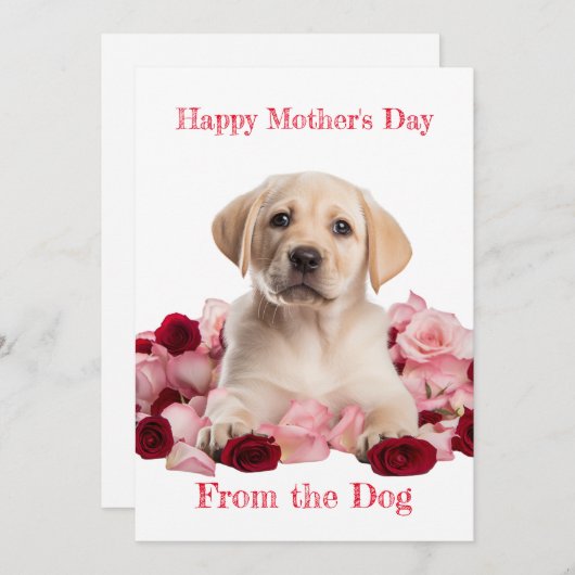 Custom Labrador Puppy met Rozen Moederdag Kaart (Voorkant / Achterkant)