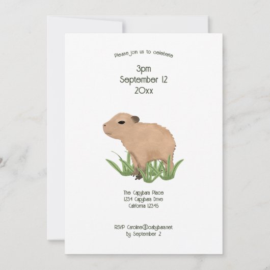Custom Leuke 2e Verjaardag Capybara Baby Boy Kaart (Achterkant)