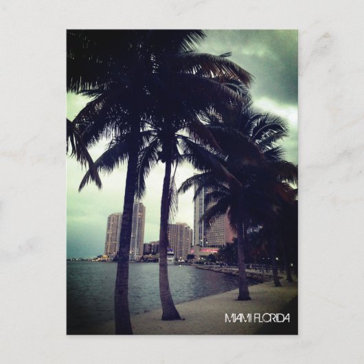 Custom Miami Florida Downtown en Harbour 's nachts Briefkaart (Voorkant)