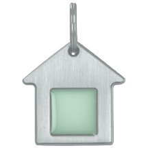 Custom Mint Green House-Shaped Pet Tag