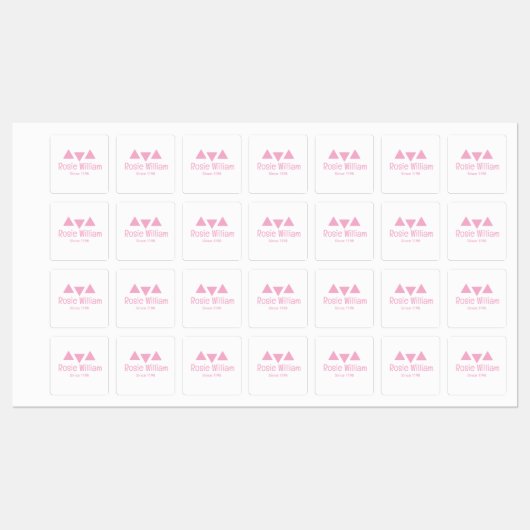 Custom Modern roze ijzer op Kledinglabel Labels (Vel)