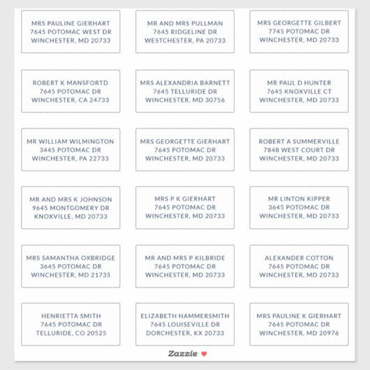 Custom Name 18 Shipping Large Address Labels (Vel)