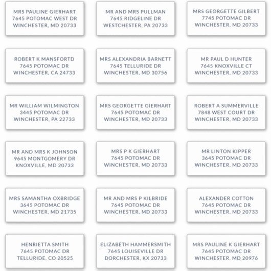 Custom Name 18 Shipping Large Address Labels (Voorkant)