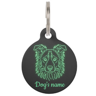 Custom Name Neon Collie Glow Pet ID Tag Huisdierpenning