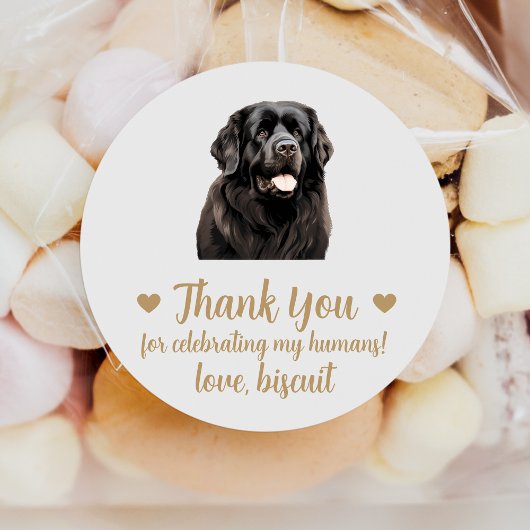 Custom Newfoundland Hond Wedding Favoriet Stickers