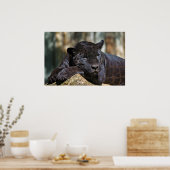Custom Panther Poster 24" x 16" (Keuken)