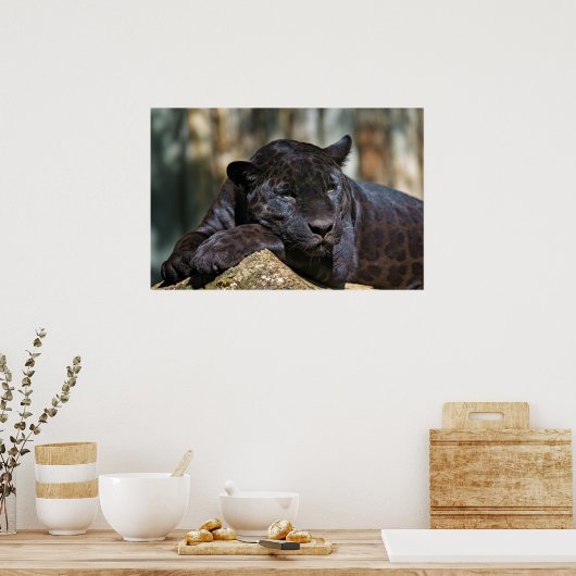 Custom Panther Poster 24" x 16" (Keuken)