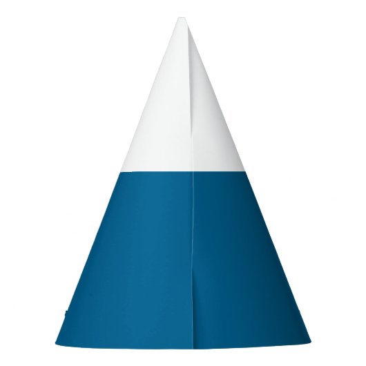 Custom Party Pet Bernie Sanders Feesthoedjes (Achterkant)