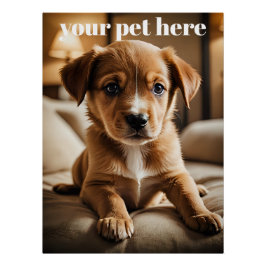 Custom Perfect Poster