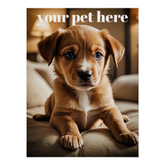 Custom Perfect Poster (Voorkant)