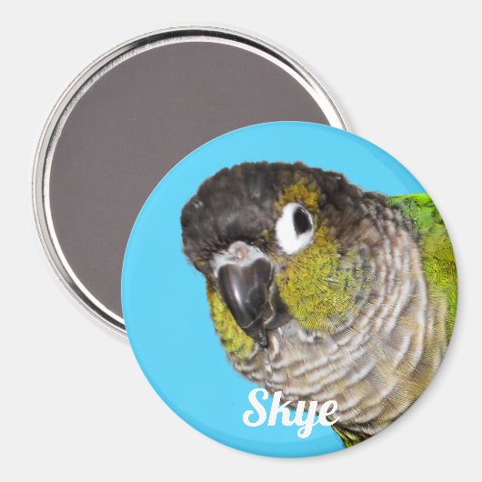 Custom Pet Bird Photo Name Magneet (Voorkant / Achterkant)
