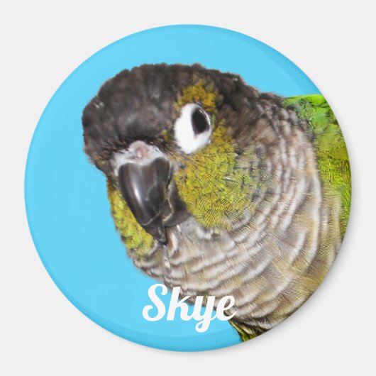 Custom Pet Bird Photo Name Magneet (Voorkant)